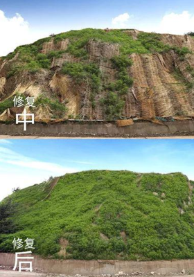 煤礦矸石山修復(fù)治理